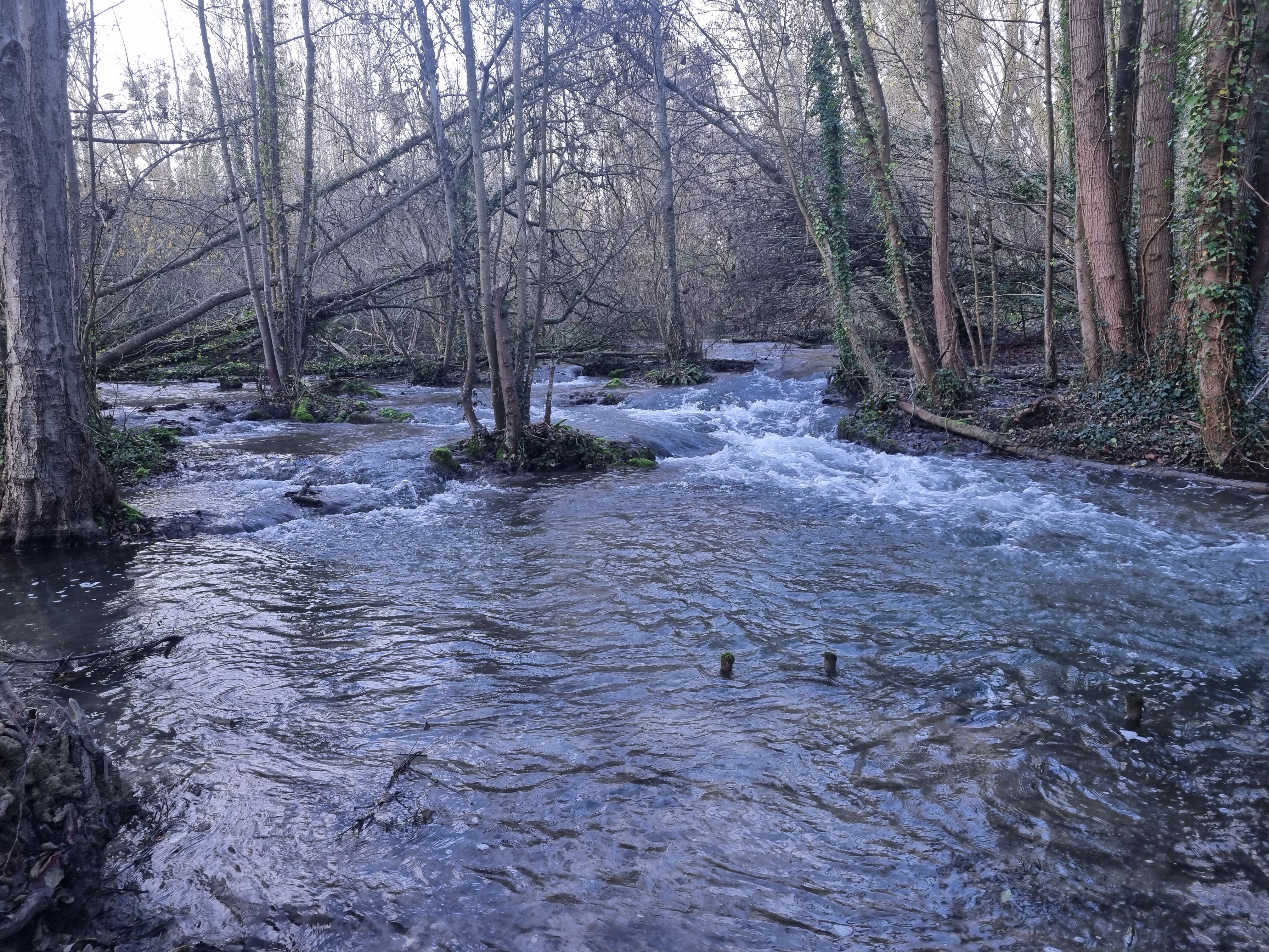 chute en rive droite