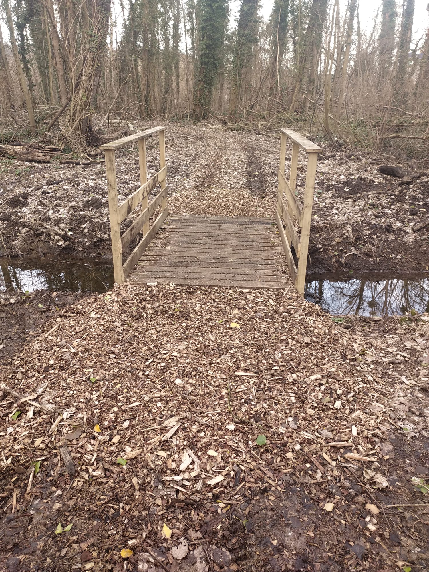 Passerelle Marais Monroy