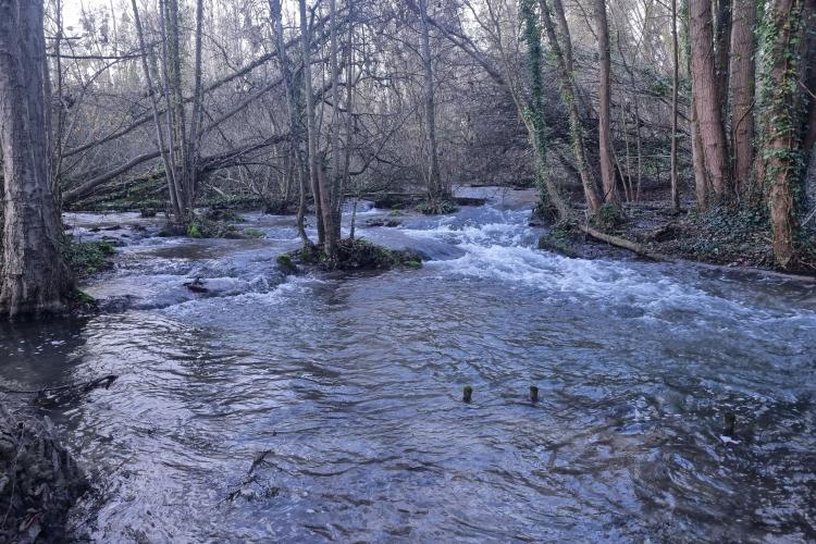 chute en rive droite